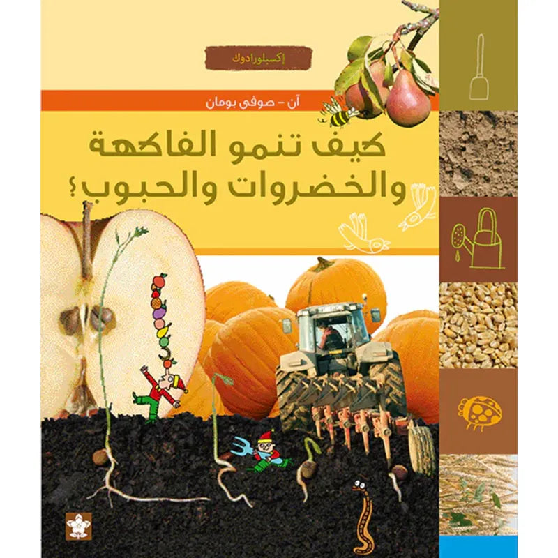 كيف تنمو الفاكهة والخضروات والحبوب