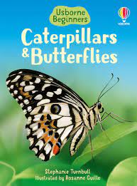 Caterpillars and Butter Flies