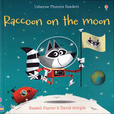Raccoon on the Moon