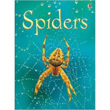 Spiders