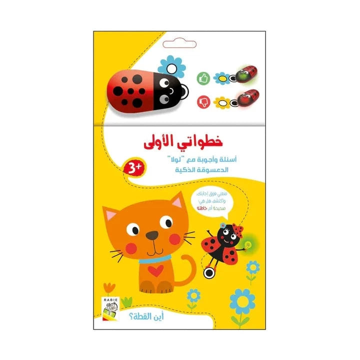 أين القطة