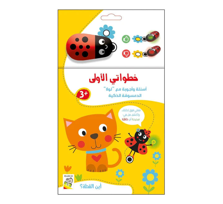 أين القطة