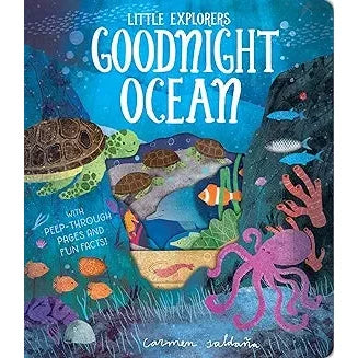 Goodnight Ocean