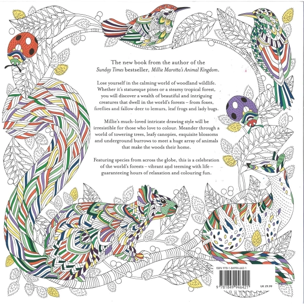 Millie Marotta's Woodland Wild a Colouring Book Adventure 24 - Image 2